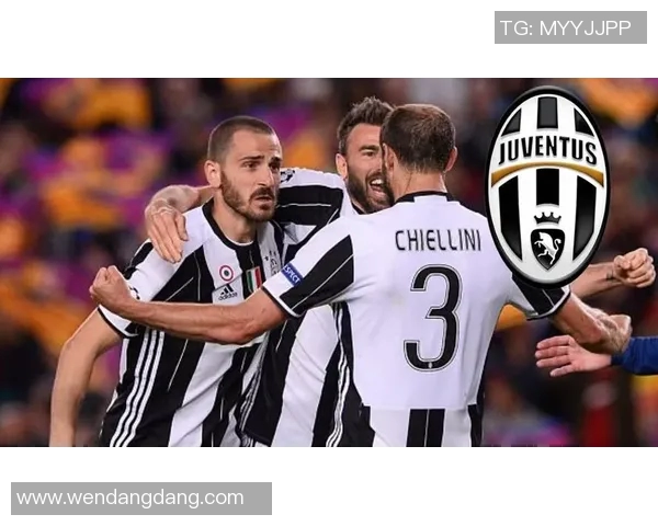 黑龙江足球第一球星排名揭晓 各大球员实力对比分析